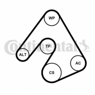 Комплект (ремінь+ролики+помпа) Contitech 5PK1207 WP1 (фото 1)