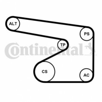 Комплект (ремінь+ролики+помпа) Contitech 5PK1355 WP1 (фото 1)