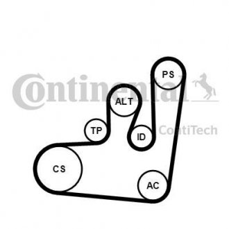 ZESTAW PASKA WIELOROWK. 1,6/1,9D/SDI/TDI Contitech 6PK1145K1 (фото 1)