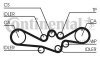 Комплект (ремінь+ролики) Contitech CT 1050 K1 (фото 1)