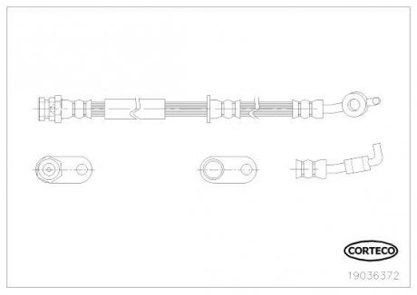 Шланг гальмівний CORTECO 19036372 (фото 1)