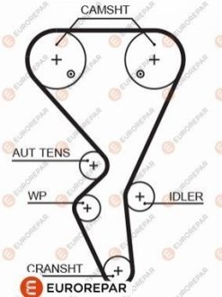 Ремень зубчатый приводу грм Z=134/25.4 CITROEN 1,6i: Berlingo, Xsara, C2/3/4 EUROREPAR 1633126380 (фото 1)