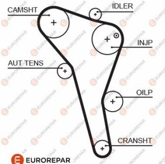 Ремень ГРМ VW Passat/Audi A4 1.9TDI 95-00/Ford Galaxy 1.9TDI 95-06 (137x25) EUROREPAR 1633129180 (фото 1)