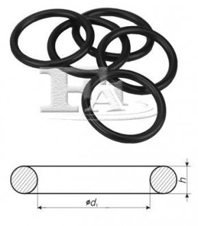 Ущільнююче кільце Fischer Automotive One (FA1) 244850100 (фото 1)