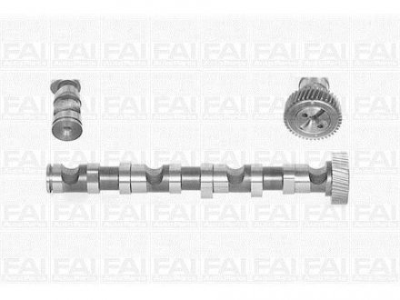 Розподільчий вал Audi A4, A6 99-03 Skoda Super B /WV Passat 97-05 Fischer Automotive One (FA1) C246 (фото 1)