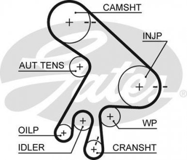 Ремінь ГРМ Gates 5562XS (фото 1)