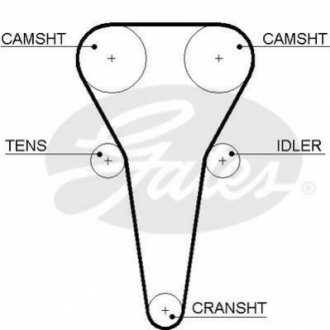Ремень ГРM Gates 5567XS (фото 1)