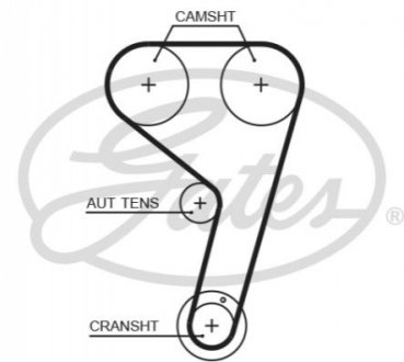 Пас ГРМ з довжиною кола понад 60 см, але не більш як 150см Gates T359HOB (фото 1)