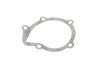 Помпа воды Fiat Scudo/Ducato/Peugeot/Citroen/Hyundai 1.8-1.9D/TD 94-06 (20z)(B/B)(7 лоп)(d імп=71mm) GRAF PA911 (фото 8)