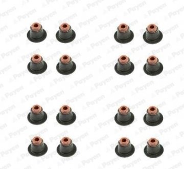 Сальник клапана (компл.) BMW N42/N46 (16PCS) (вир-во) Payen HR5086 (фото 1)