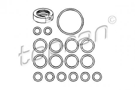 Набор прокладок для гидравлического насоса TOPRAN / HANS PRIES 107356 (фото 1)