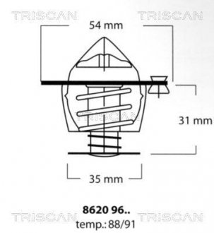 Термостат TRISCAN 8620 9691 (фото 1)