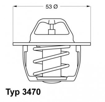 Термостат WAHLER 347089D50 (фото 1)