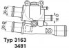 Термостат WAHLER 3481.88D (фото 1)