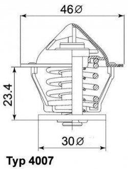 Термостат DAIHATSU 1.2D,1.4D WAHLER 4007.80D (фото 1)