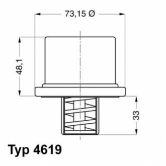 Термостат WAHLER 4619.82 (фото 1)